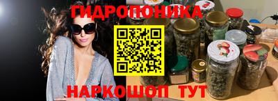 кокс Гай