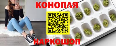 кокс Гай