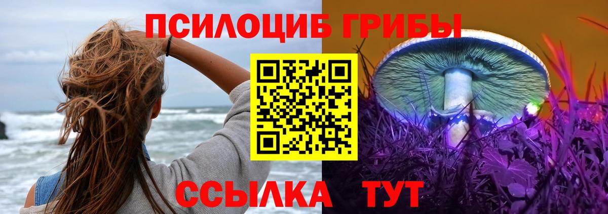 Калач-на-Дону  Галлюциногенные грибы Psilocybe  Вход с VPN 