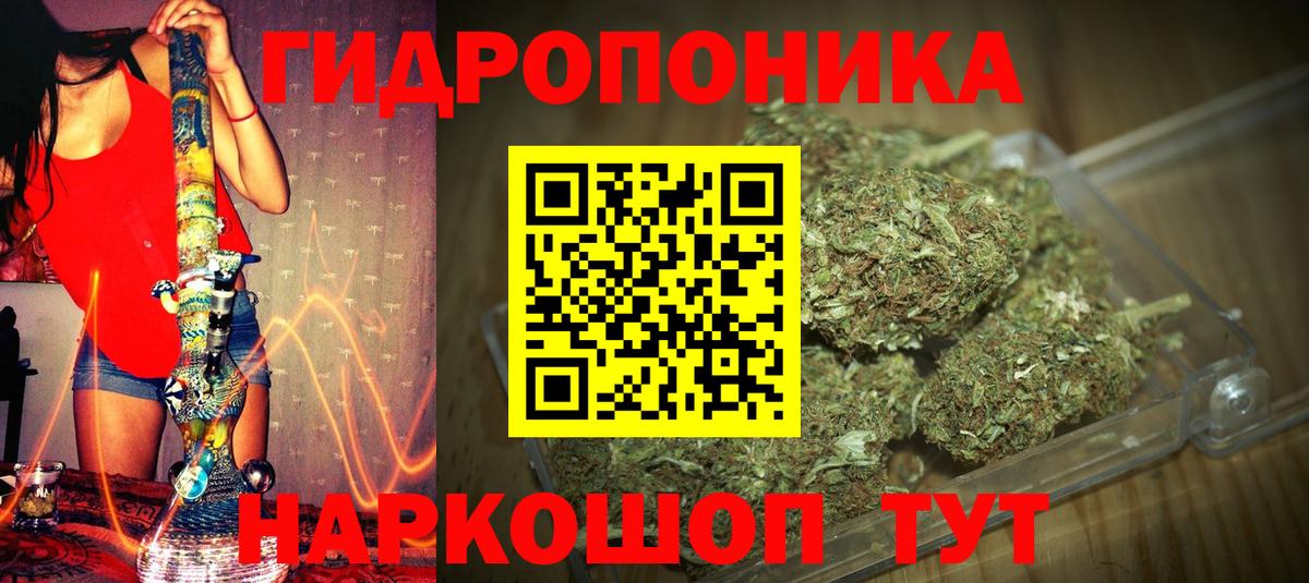 Конопля планчик  Вход с VPN  Калач-на-Дону  Марихуана марихуана  Канабис Bruce Banner 